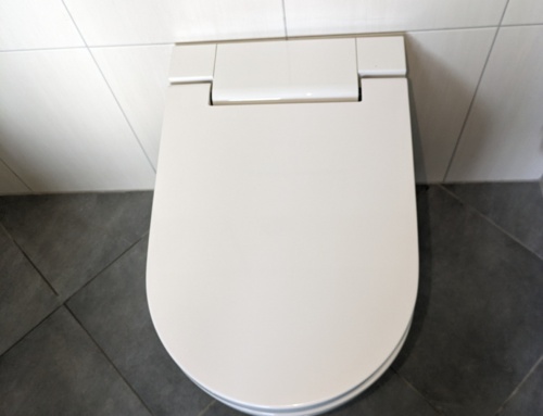 Geberit Aquaclean Alba